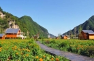 文化和旅游部：一揽子举措助推乡村旅游发展